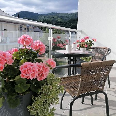 Svjetlanalex 2 Apartment Banja Koviljaca Bagian luar foto