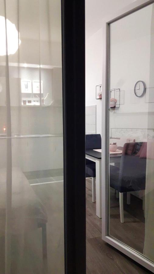 Svjetlanalex 2 Apartment Banja Koviljaca Bagian luar foto