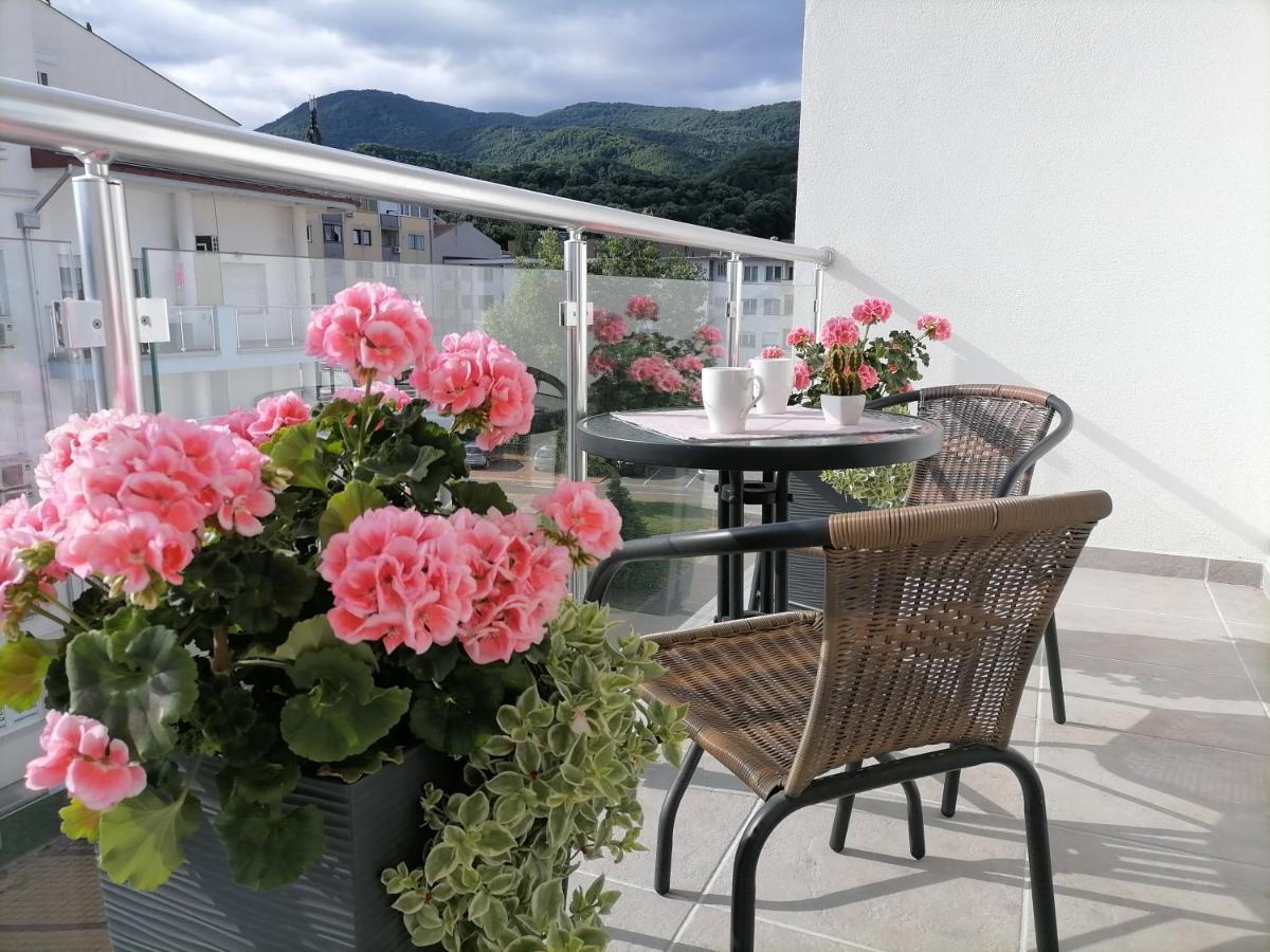 Svjetlanalex 2 Apartment Banja Koviljaca Bagian luar foto