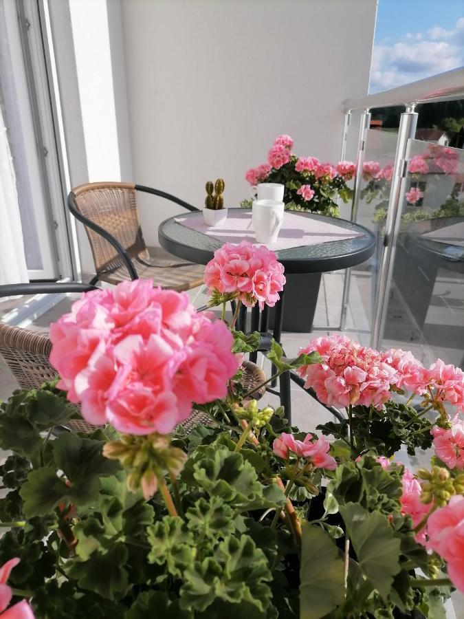 Svjetlanalex 2 Apartment Banja Koviljaca Bagian luar foto